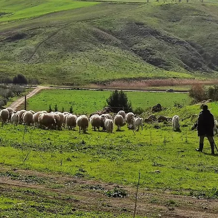 Della Via Francigena * Agrigento