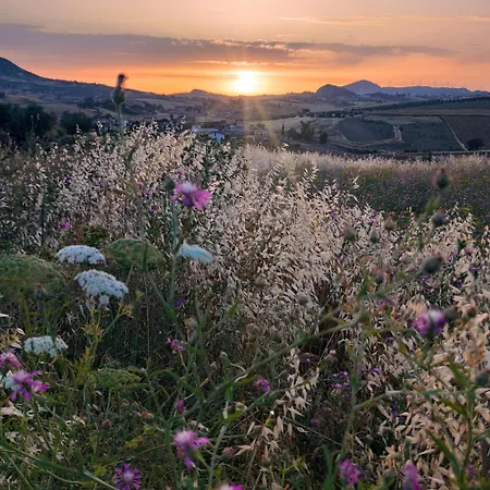 Bed & Breakfast Della Via Francigena 3*