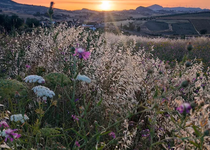 Bed & Breakfast Della Via Francigena 3*