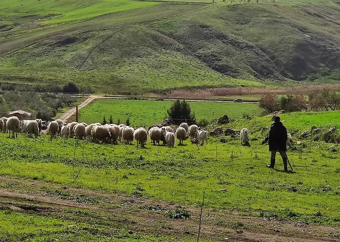 Della Via Francigena 3* Agrigento
